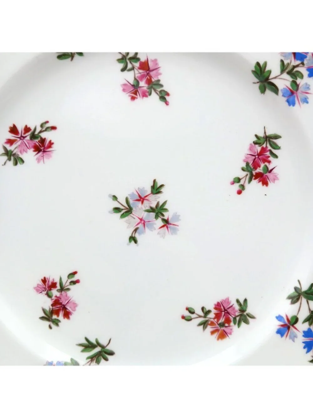 Spode Copeland 4687 Blue Pink Floral  9